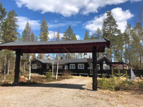 Mountain family cabin